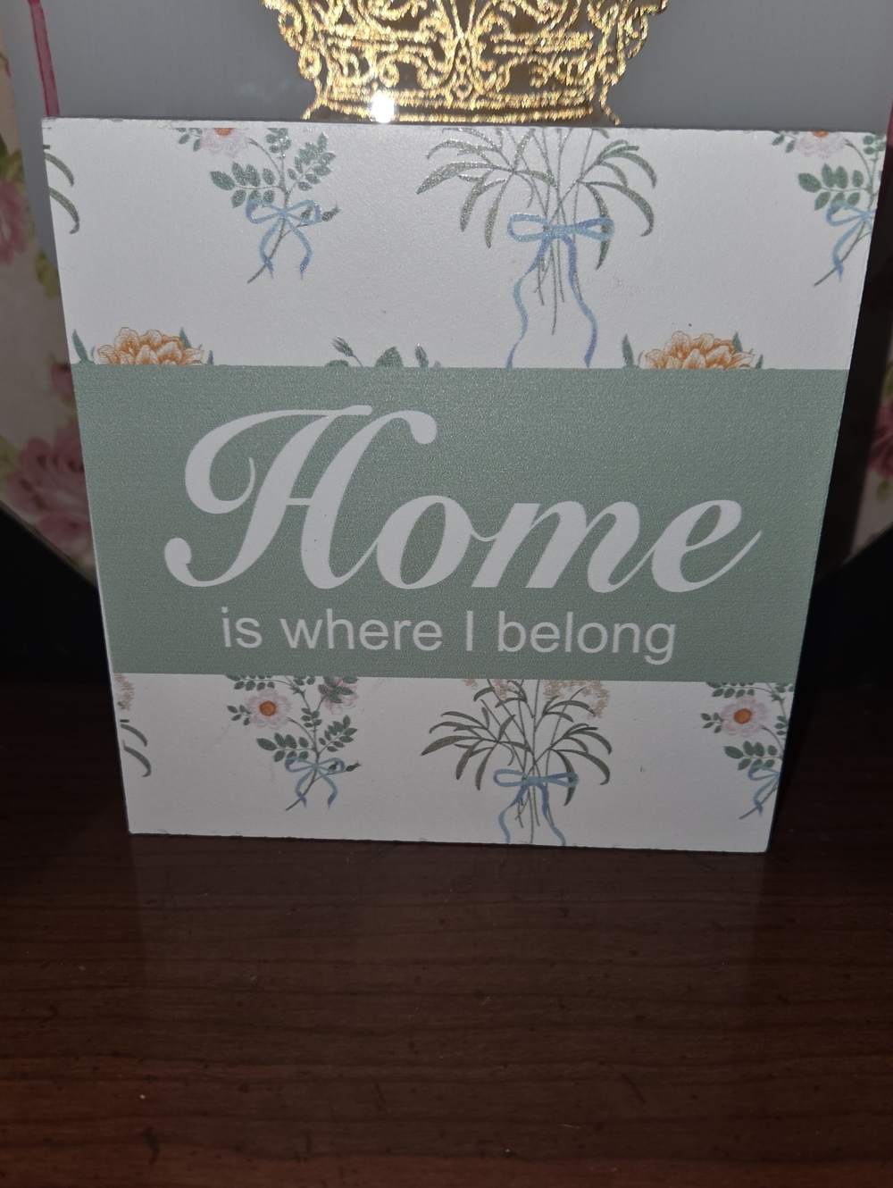 Home is Where I Belong Wall Plaque - Sage & White